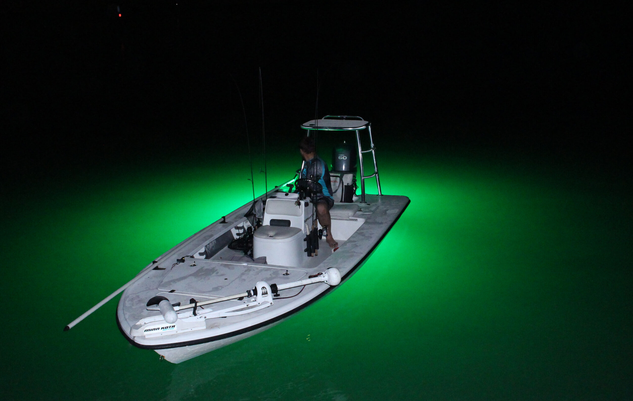 12v Led Underwater Fish Light