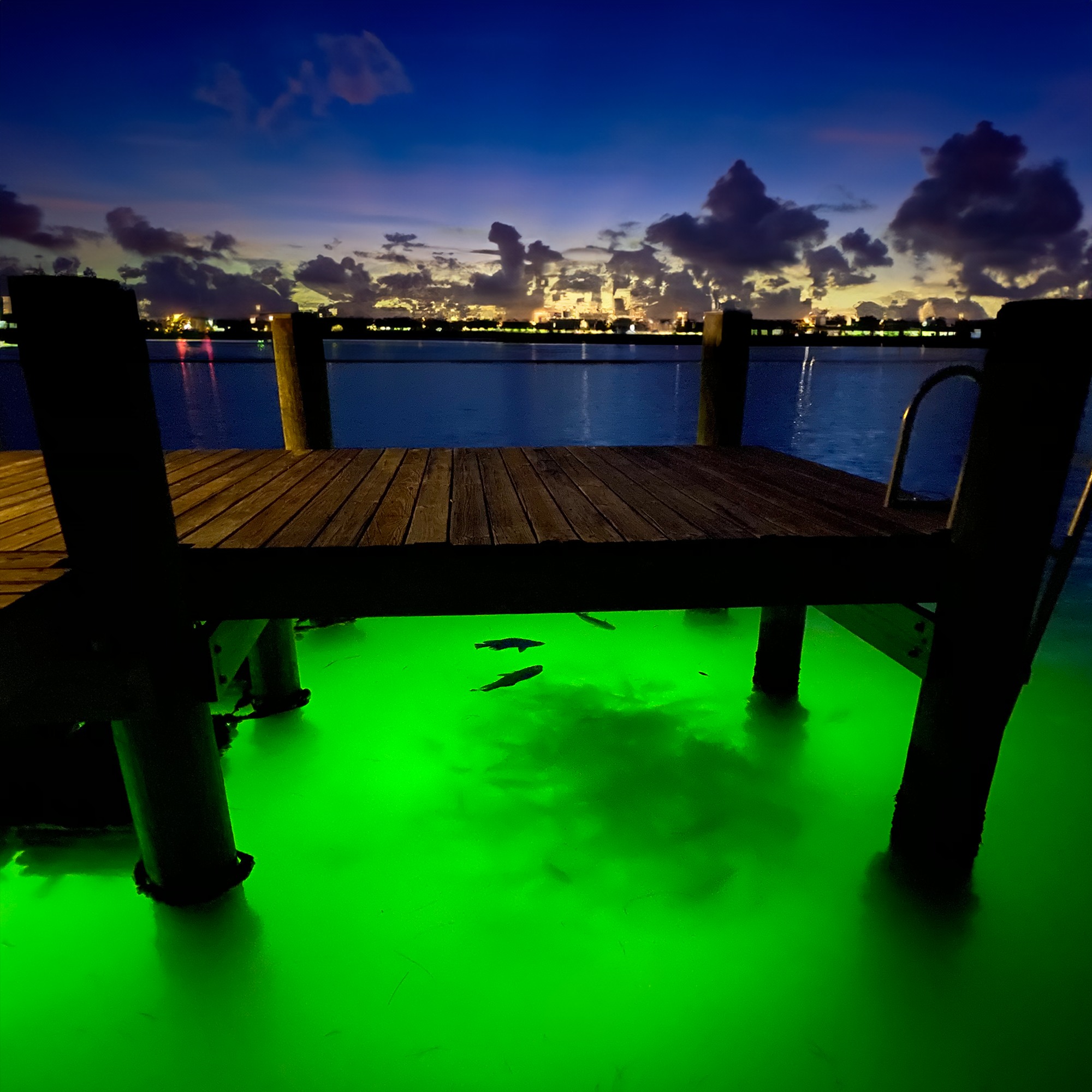 How Fish Lights Can Transform Your Dock into a Thriving Ecosystem