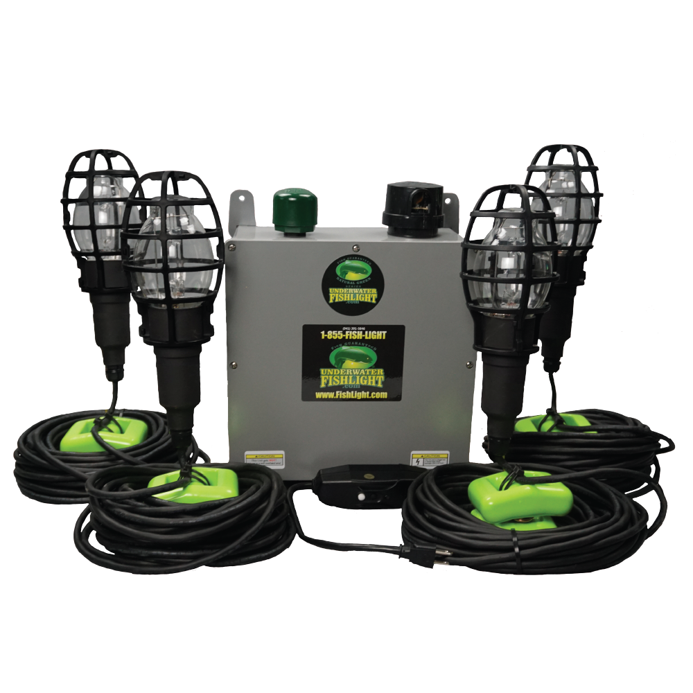 Classic Quad <br> Fish Light For Docks