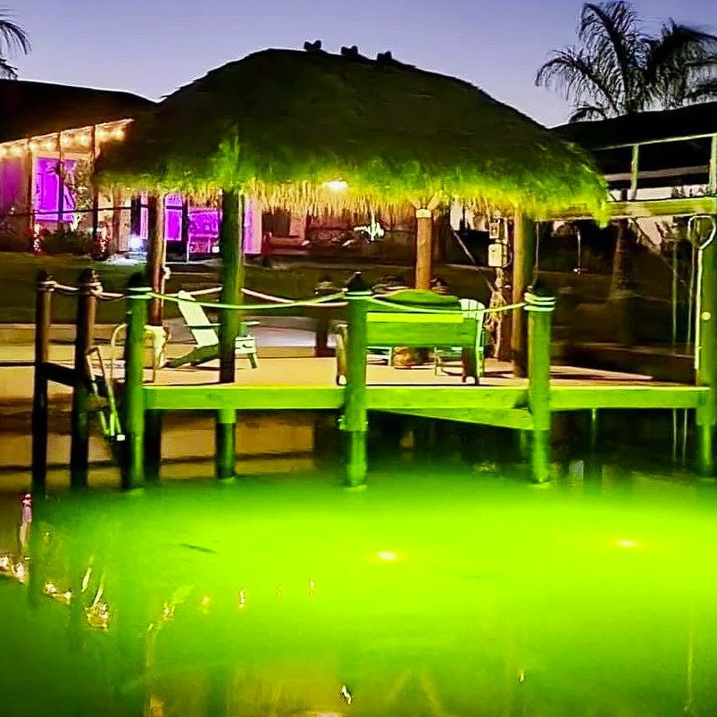 How Fish Lights Work in Corpus Christ